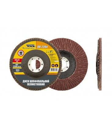 Kotouč brusný lamelový MASTERTOOL Т27 P40 125*22 mm 08-2204