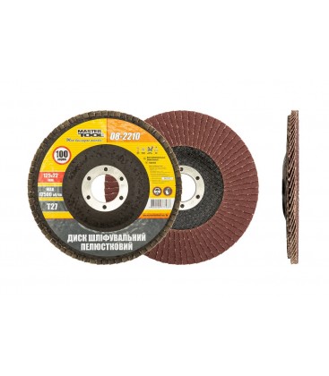 Kotouč brusný lamelový MASTERTOOL Т27 P100 125*22 mm 08-2210