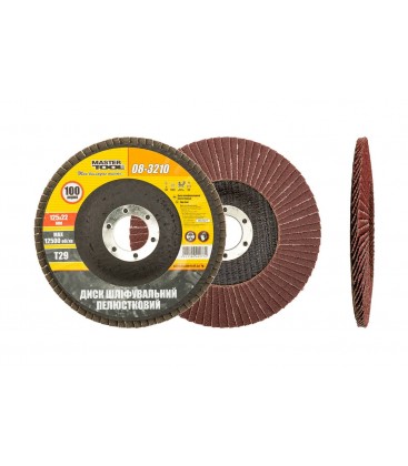 Kotouč brusný lamelový MASTERTOOL Т29 P100 125*22 mm 08-3210