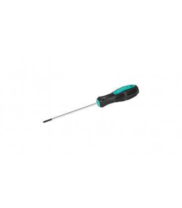 Šroubovák magnetický MASTERTOOL TORX TT 10*100 mm 49-0101
