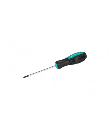 Šroubovák magnetický MASTERTOOL TORX TT 15*100 mm 49-0151