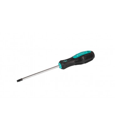 Šroubovák magnetický MASTERTOOL TORX TT30*125 mm 49-0301