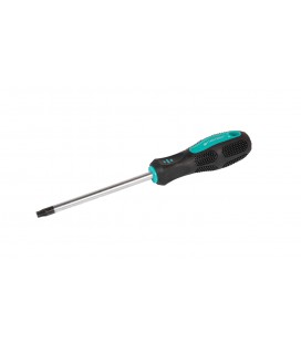 Šroubovák magnetický MASTERTOOL TORX TT40*125 mm 49-0401